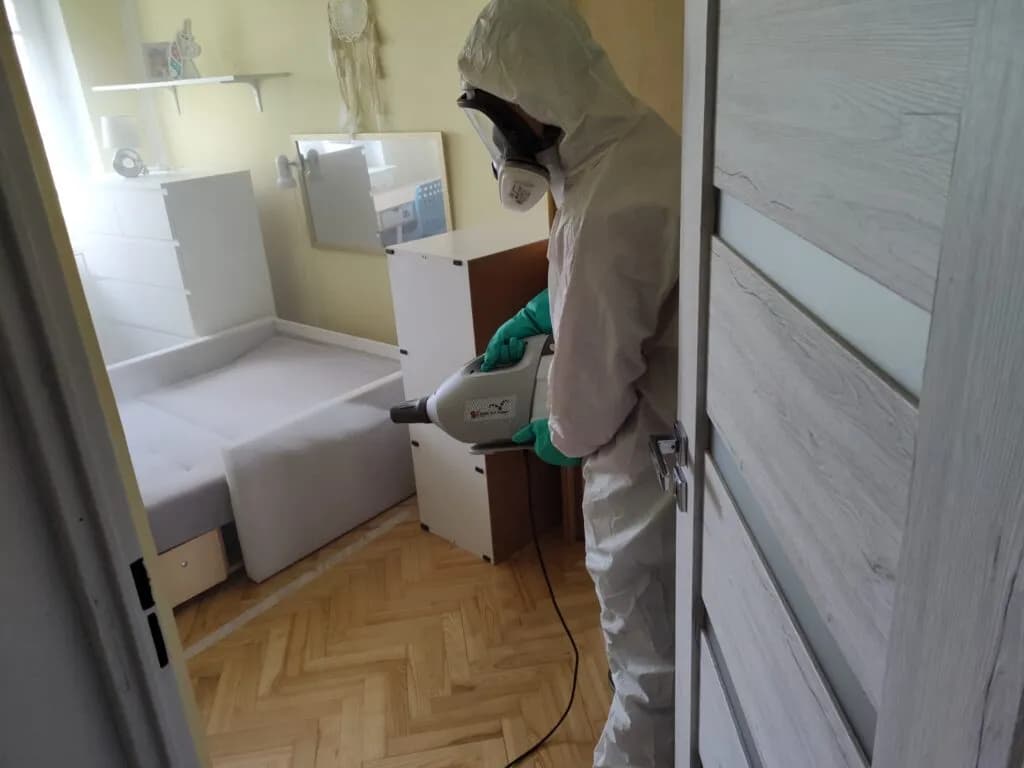 Jak przygotować mieszkanie do dezynfekcji, aby uniknąć szkodników