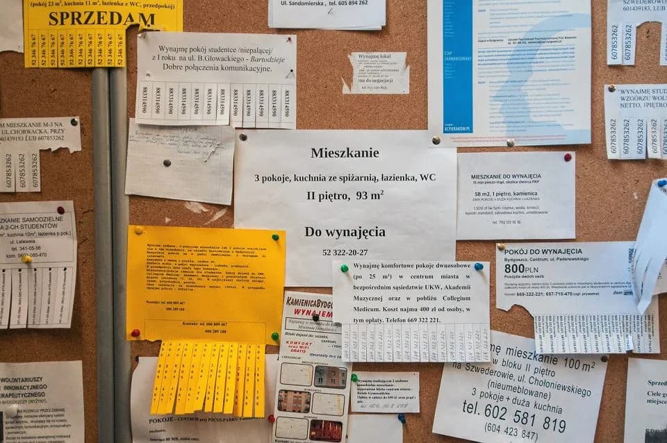 Gdzie zamieścić darmowe ogłoszenie o wynajmie mieszkania, aby szybko znaleźć najemców